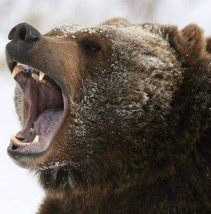 Meet your Posher, Deania